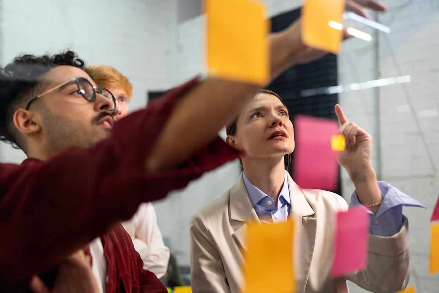 Lessons Learned from European Commission (EC)-Funded Projects: Insights from Early-stage Career Professional Tanja Vuković (V)